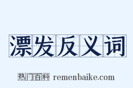 漂发反义词是什么意思的图片